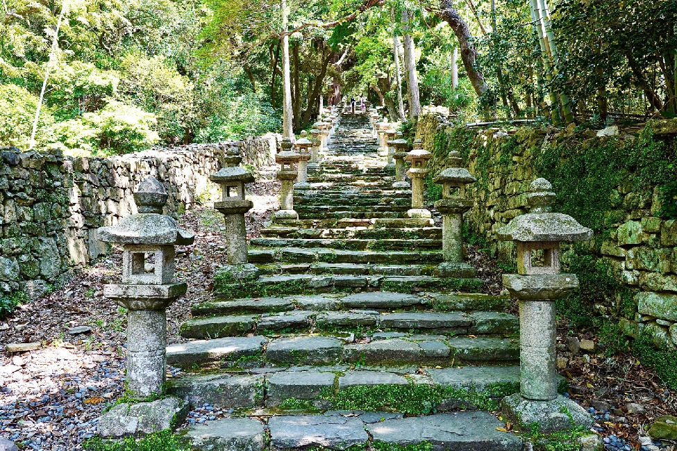 スターシャインの魅力