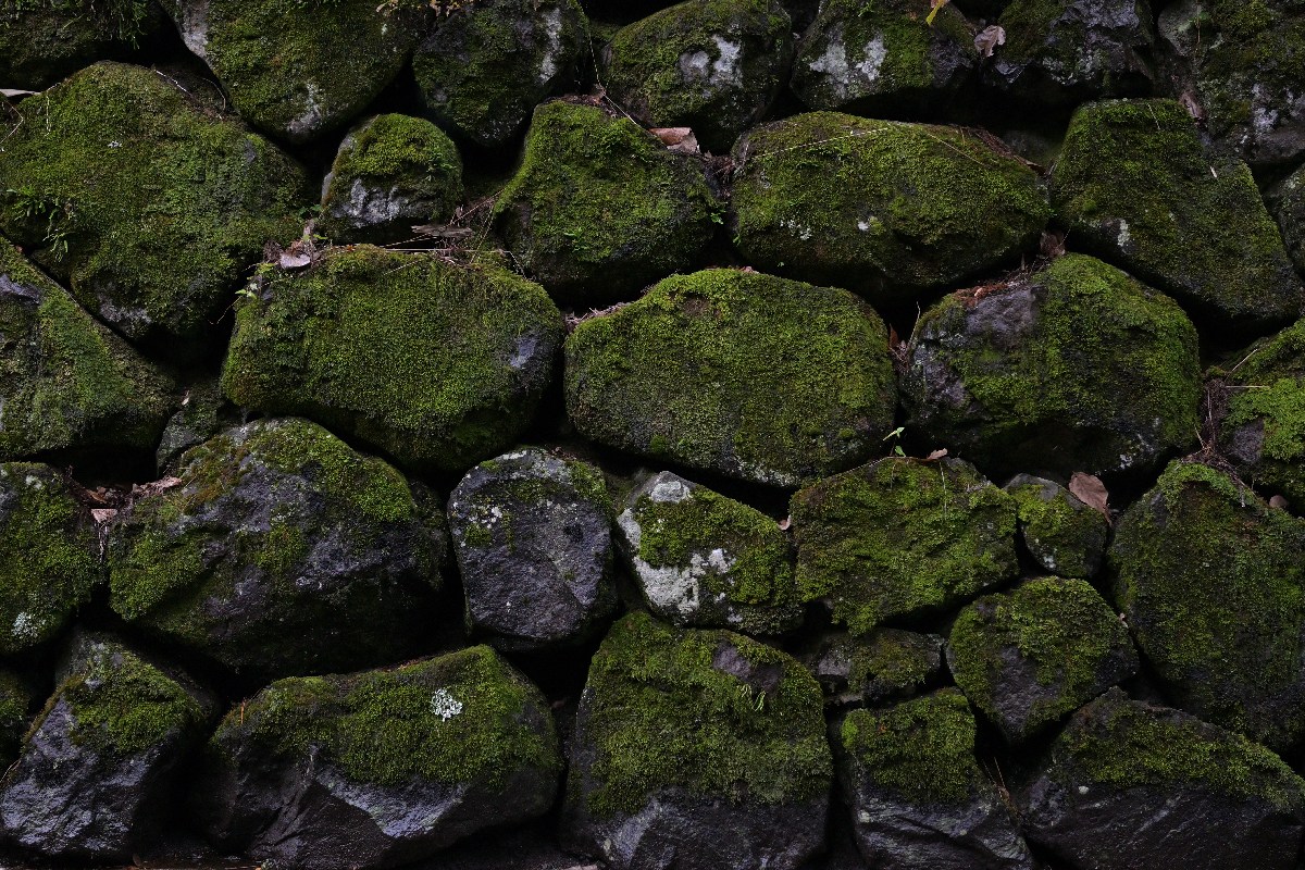 石材の水分吸収率